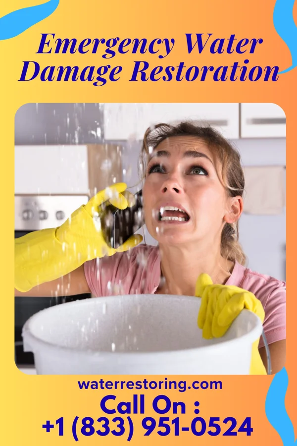 Emergency Water Damage Restoration in Earle, AR